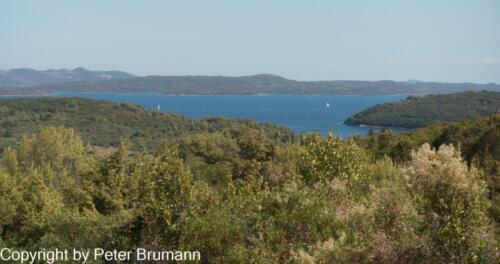 07  506RX100M3-03872