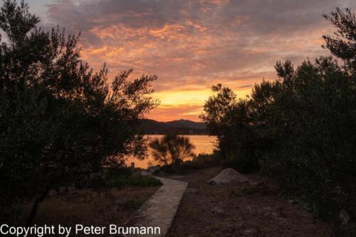 28  391RX100M33alt-01481