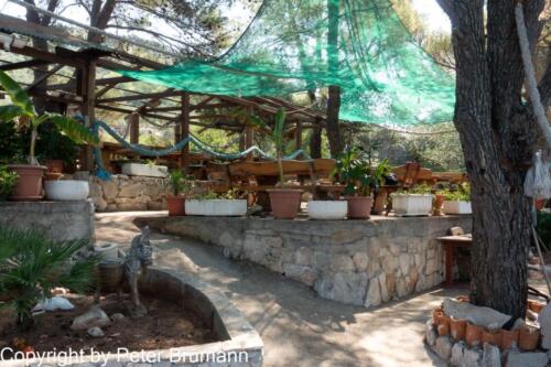 30  391RX100M33alt-01530