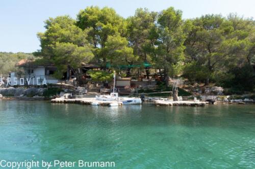 32  391RX100M33alt-01545