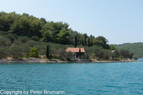 33  391RX100M33alt-01555