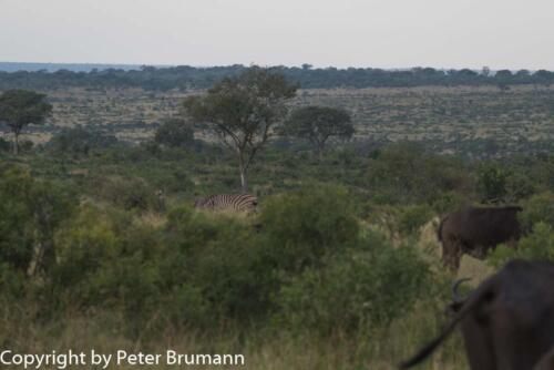 109 601A-A99M3-PBR00121