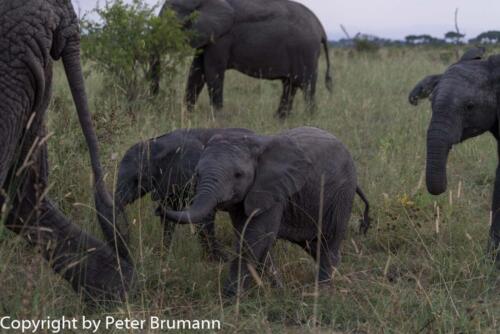 112 601A-A99M3-PBR00159