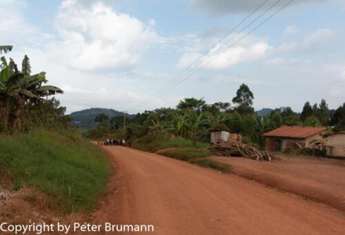 114 510RX100M3-06558