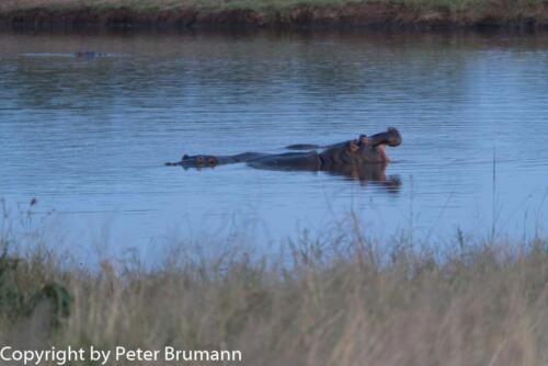 115 601A-A99M3-PBR00186