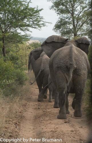 122 602A-A99M3-PBR00329