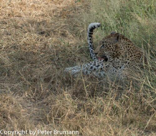 125 602A-A99M3-PBR00340