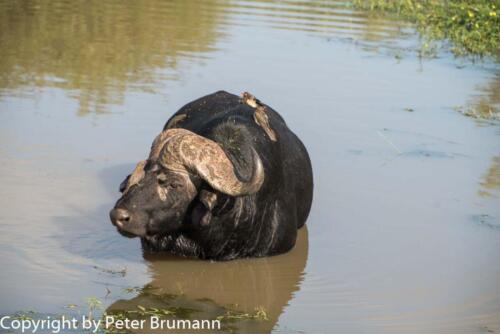 127 602A-A99M3-PBR00374