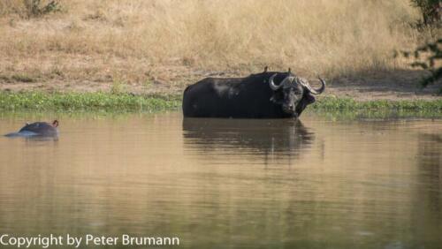 128 602A-A99M3-PBR00378