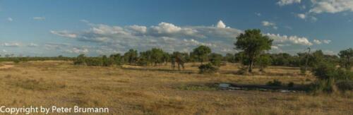 137 115A850PBR-7888-Pano