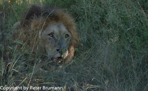 143 602A-A99M3-PBR00546