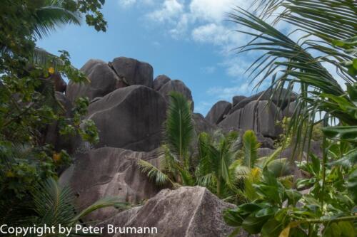 171 511RX100M3-07086