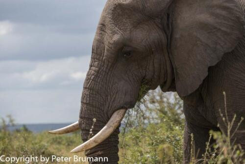 179 601B-A99M2-PBR01237