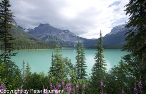 194 See nach Regenfront