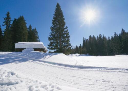 2013winterlandschaft03