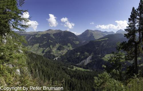 003-393RX100M3-02741-Pano