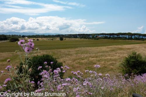 01-514RX100-M3-09302