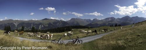 011-393RX100M3-02856-Pano