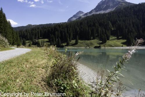 019-393RX100M3-02963