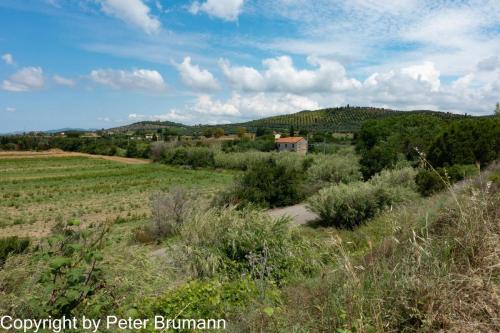 02-514RX100-M3-09308