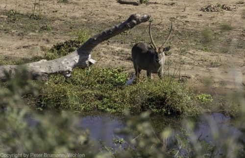 026-2005-2A99M2-07813