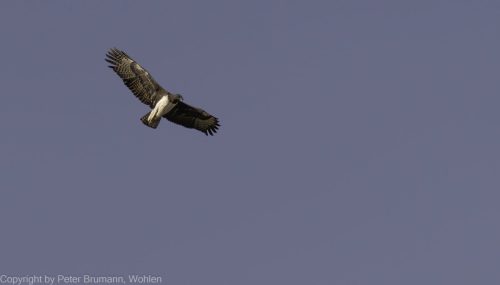 030-2005-2A99M2-07852