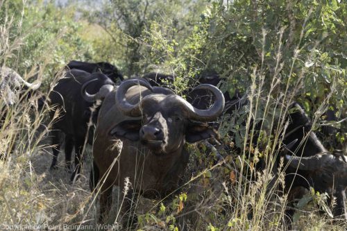 041-2005-2A99M2-07920