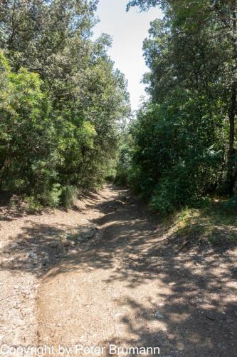 05-514RX100-M3-09357