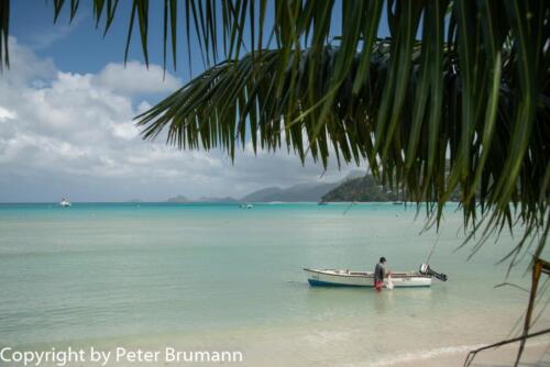 102  623aA99M2-01168