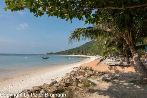 106-392RX100M3-02376