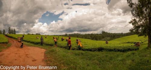 122-605bA99-00318-Pano