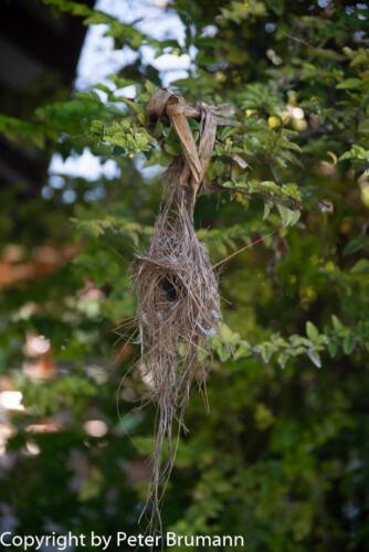 128  625aA99M2-01873