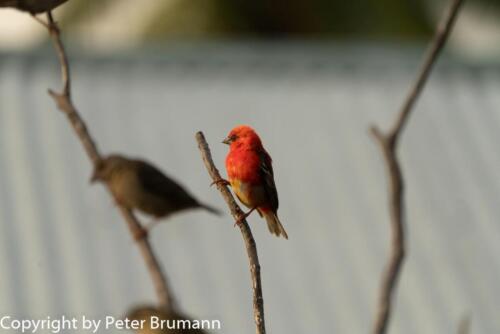 134  625aA99M2-01964