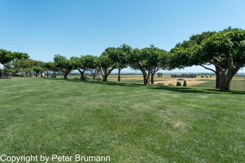 17-514RX100-M3-09449