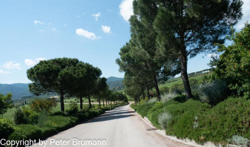 19-514RX100-M3-09455