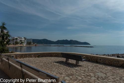 20-516-RX100M3-00851