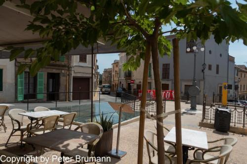 21-516-RX100M3-00861