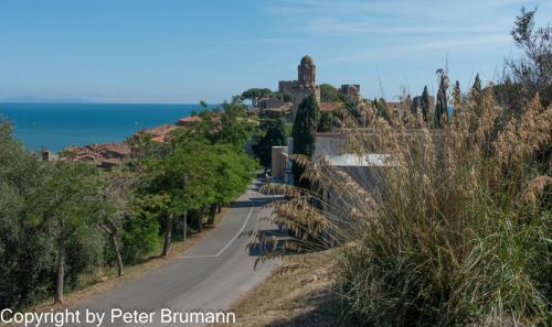 22-514RX100-M3-09499