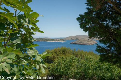 29  P106A850100-4621