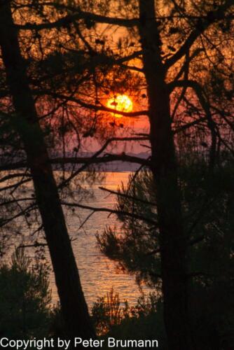 38  P107A850100-4729