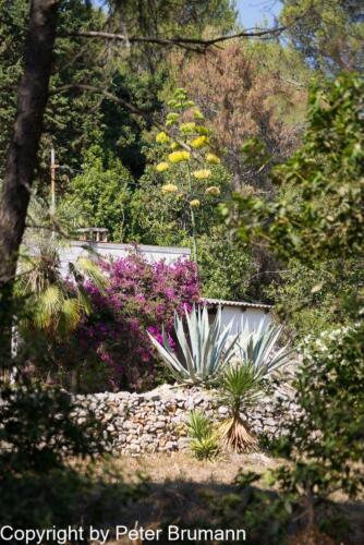 40  P107A850100-4749