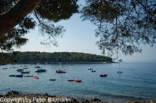 51  P107A850100-4883