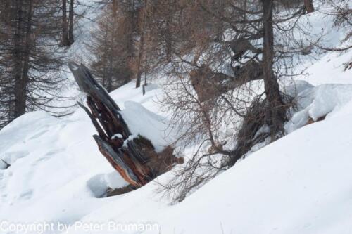 98  02 Feb 2010 4670